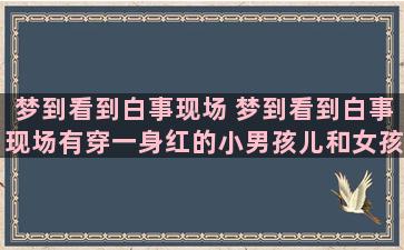 梦到看到白事现场 梦到看到白事现场有穿一身红的小男孩儿和女孩